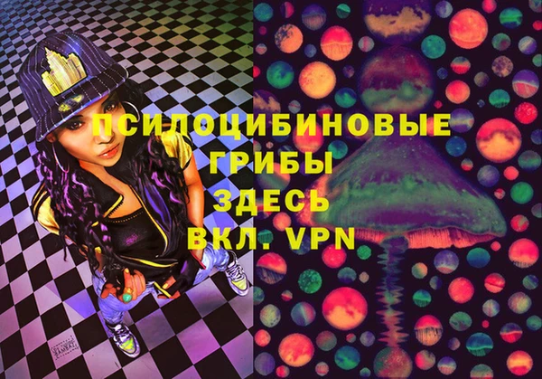 МДПВ Алексин