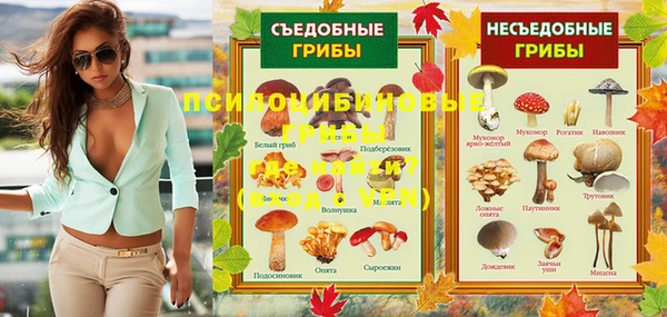 МДПВ Алексин